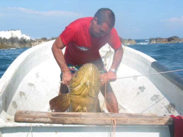 Pescando en la costa